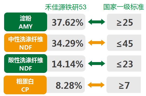 青贮玉米营养成分高于国家一级标准