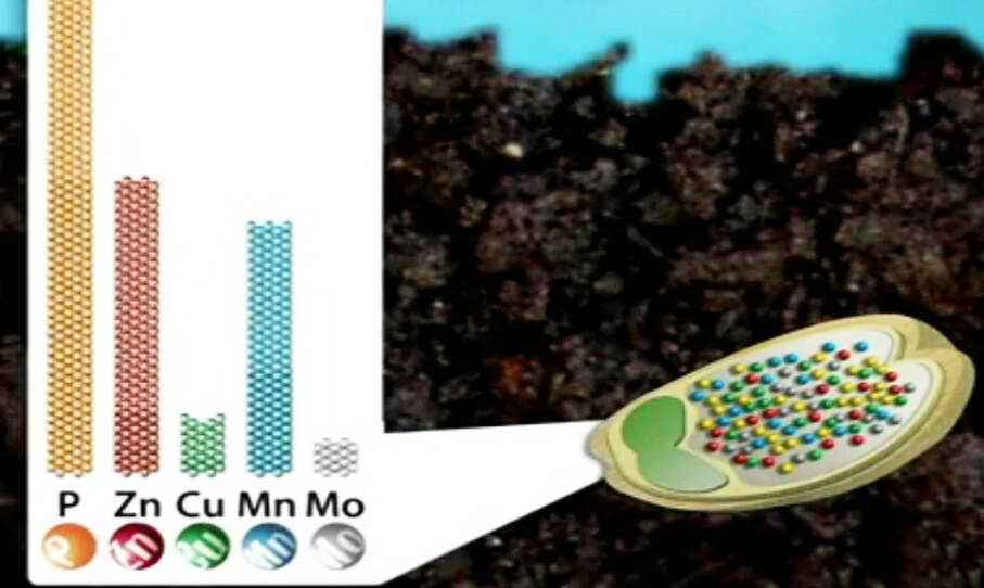 种子惊醒剂含有多种微量元素