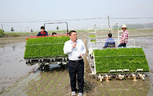 水稻栽培需要注意事项